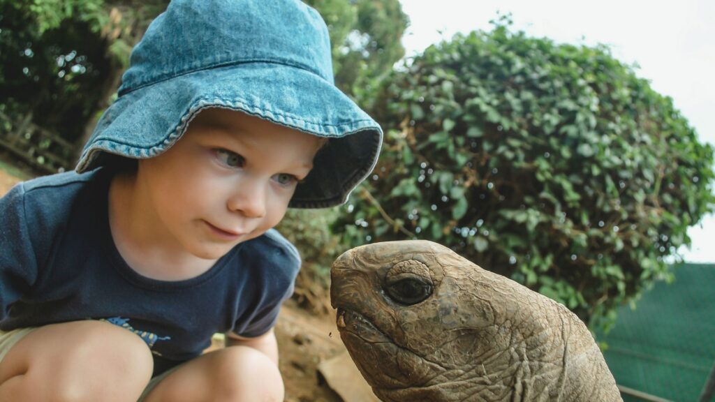 Child demonstrating autism and eye contact while observing a tortoise outdoors, showing focused visual attention and social engagement cues.