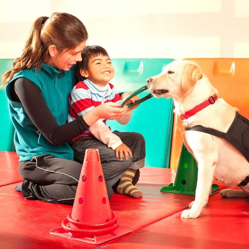 Enhancing Animal Therapy for Autism with ABA Centers of Connecticut