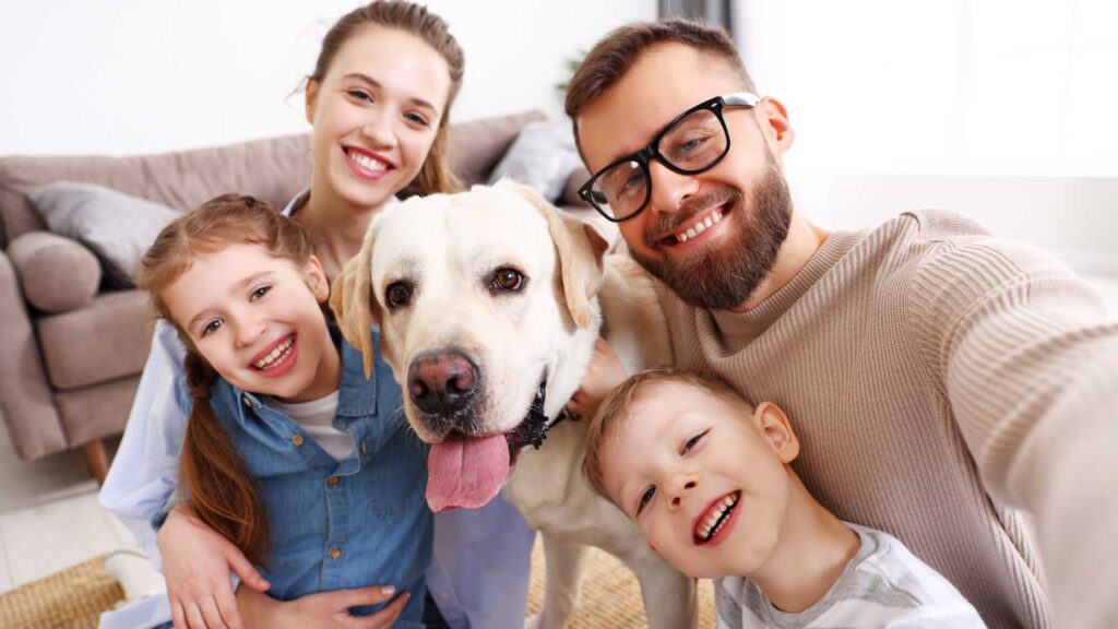 What is animal therapy